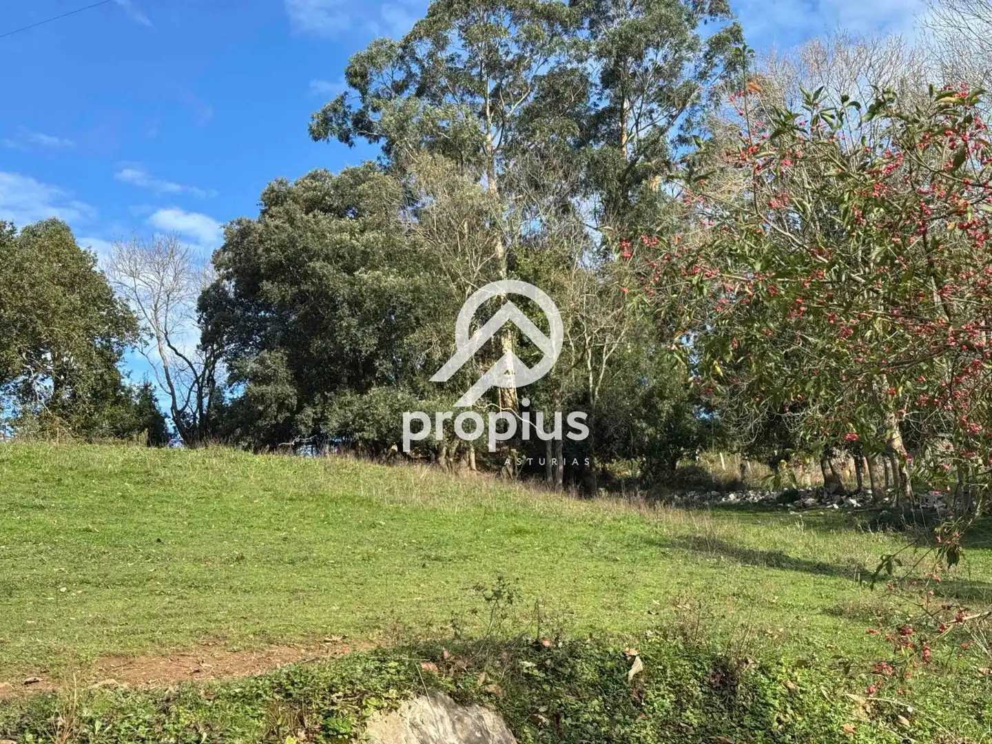 Land for sale in Llanes