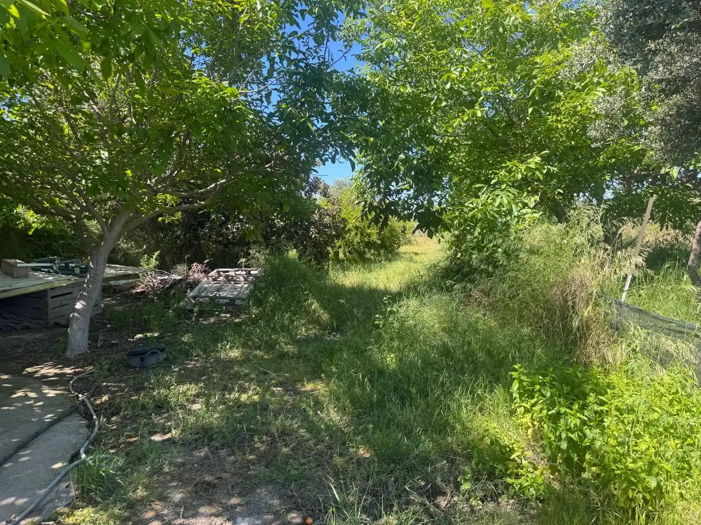 Maison rustique avec piscine à vendre à Albaida, imagen 20