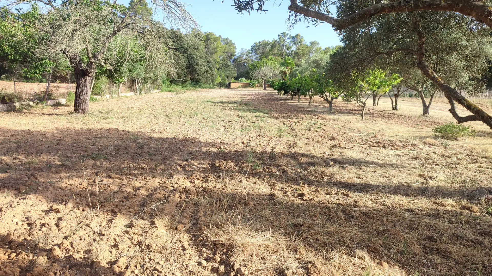 Villa avec piscine à vendre à Diseminado Diseminados Var 261, imagen 20