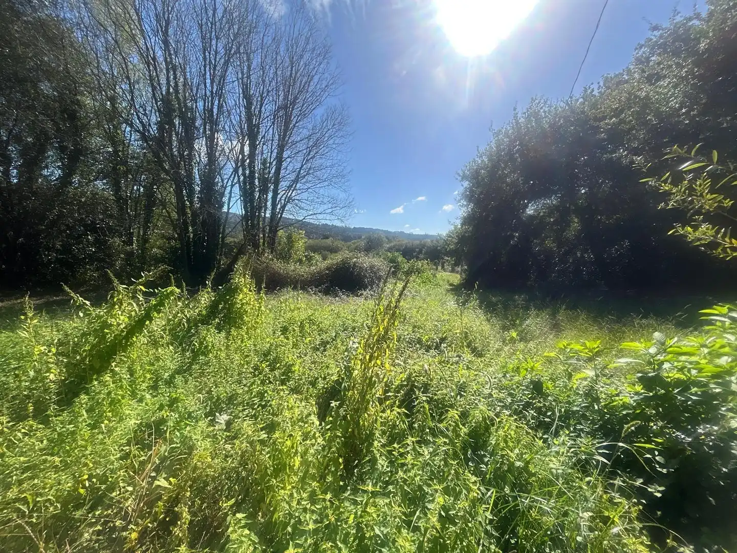 Finca rústica en venda en Boiro, A Coruña