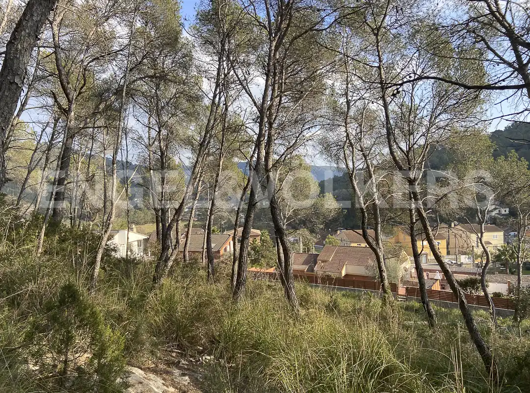Terreno residencial en venta en Canyelles, imagen 7
