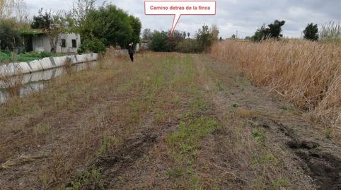 Foto 4 de Finca rústica en venda a Camino Ullal de la Comare, 118r, El Grao, Castellón de la Plana / Castelló de la Plana