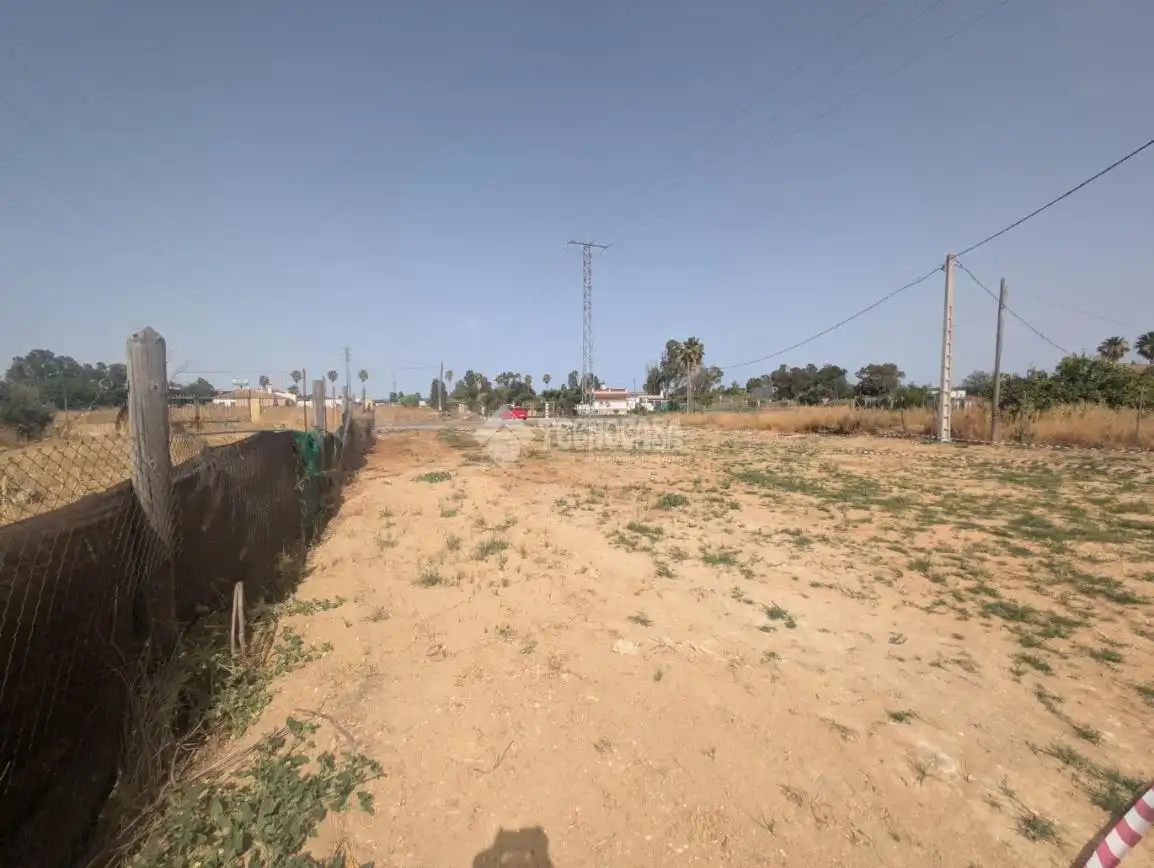 Rural land for sale in El Rocío - La Milagrosa, imagen 9