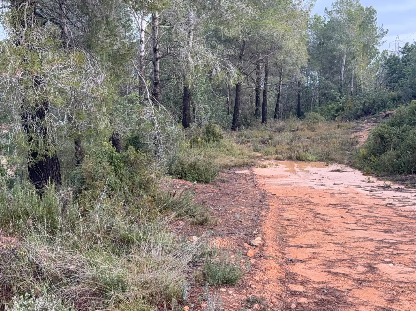 Terrain rustique à vendre à Carretera a la Maso 1G, imagen 2
