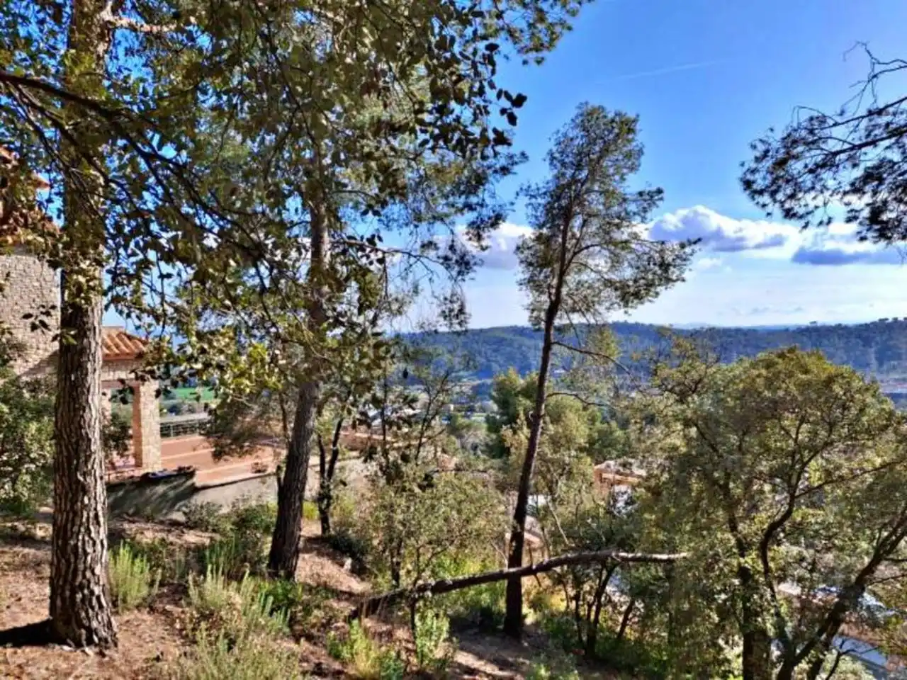 Rural land for sale in Calle Llosa