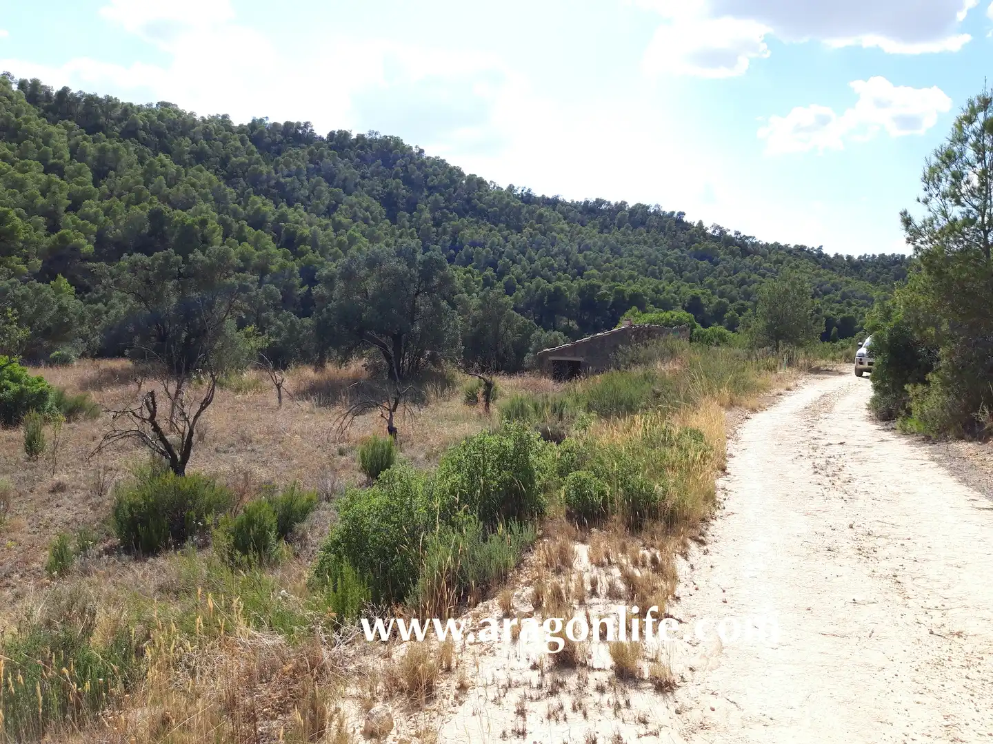 Finca rústica en venta en Fabara