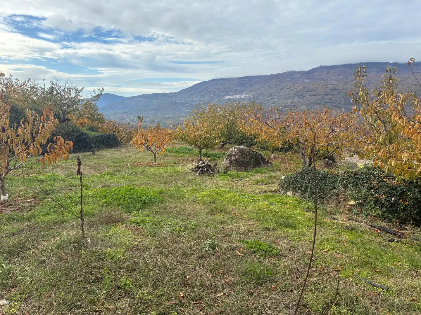Residential land for sale in Paseo Naranjos 114