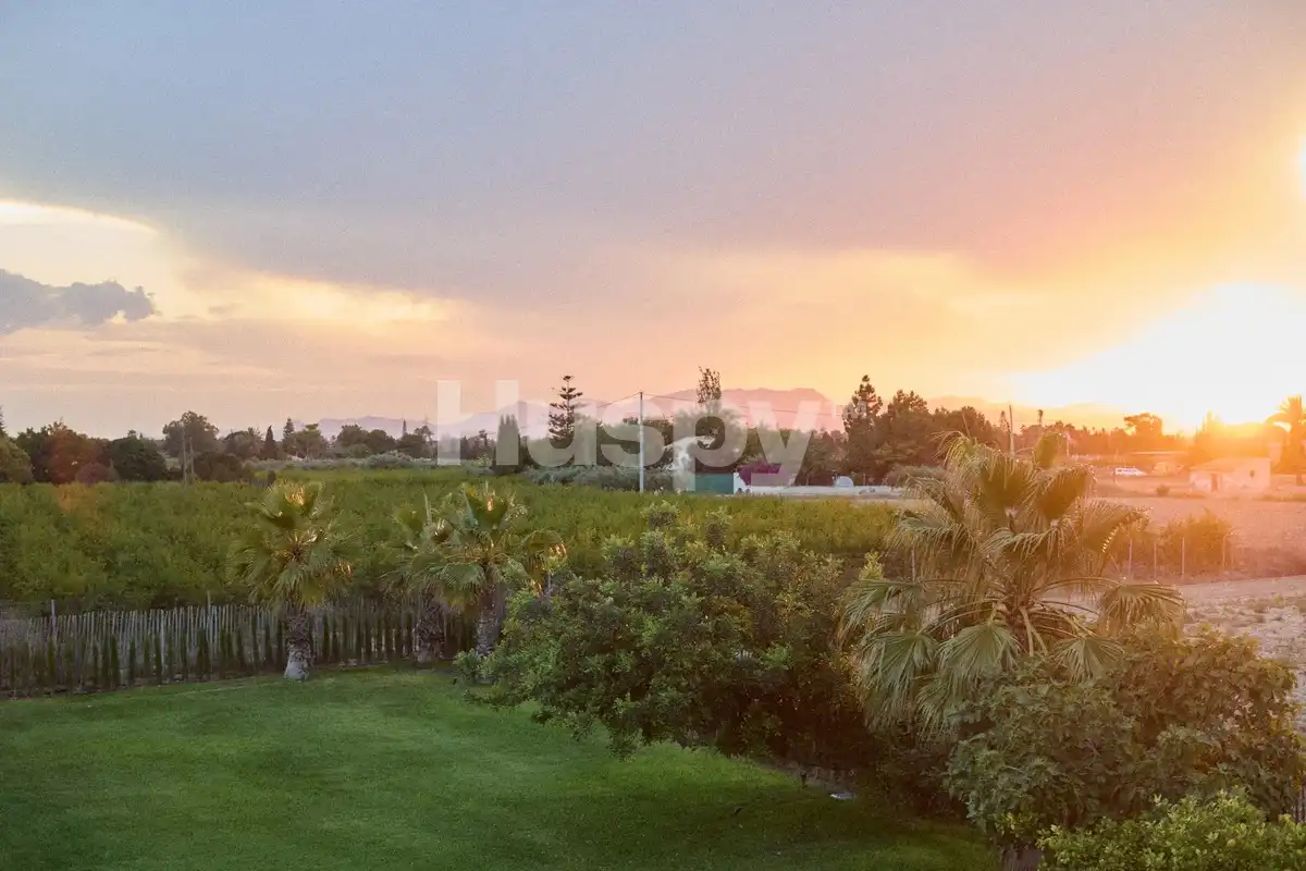 Jardí de Casa o xalet en venda en Elche / Elx amb Aire condicionat, Calefacció i Jardí privat