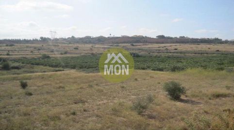 Photo 4 of Residential for sale in Cv405 Sector Vertix XXI, Montserrat, Valencia