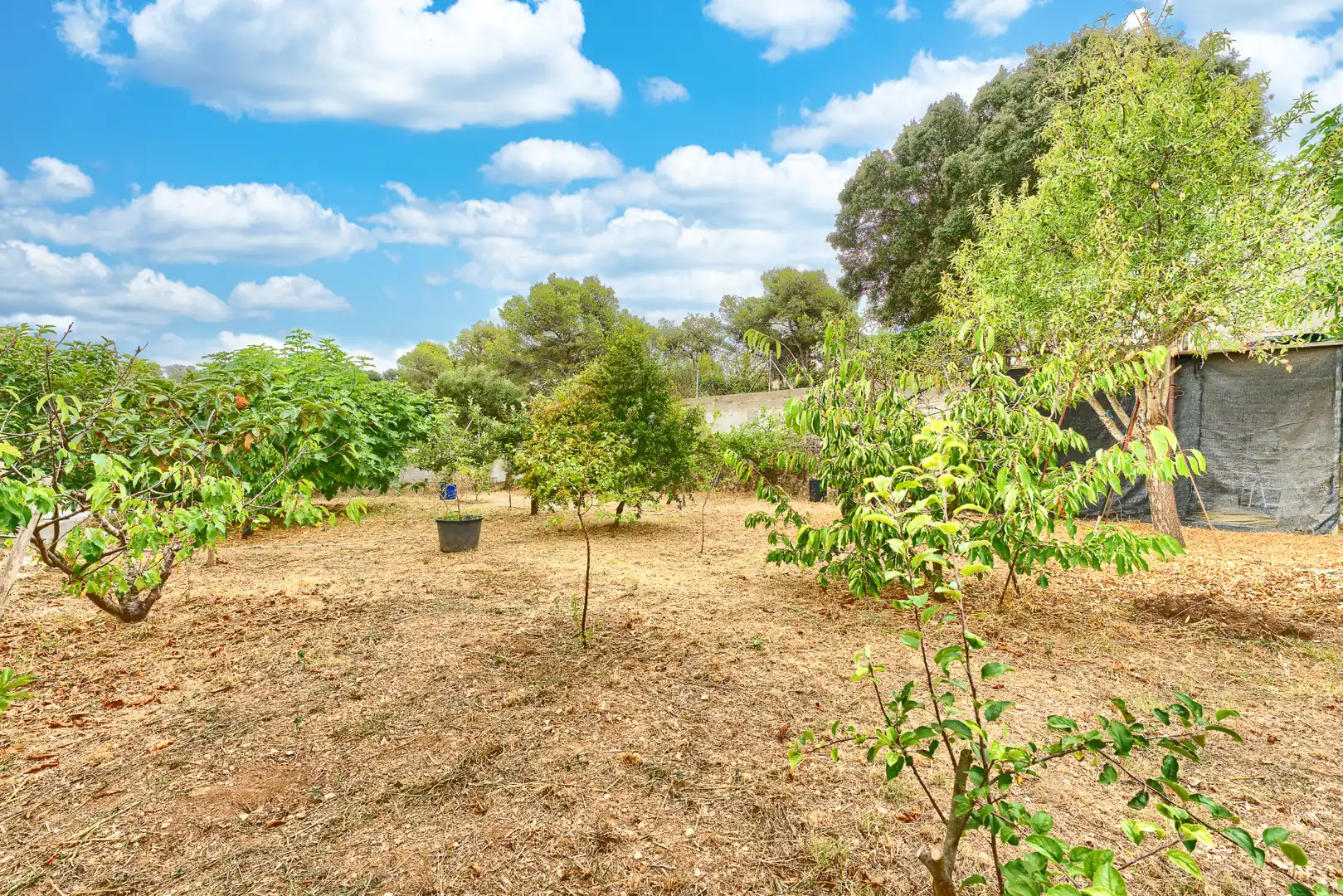 Casa o xalet en venda en Castellet i la Gornal amb Jardí privat, Terrassa i Moblat