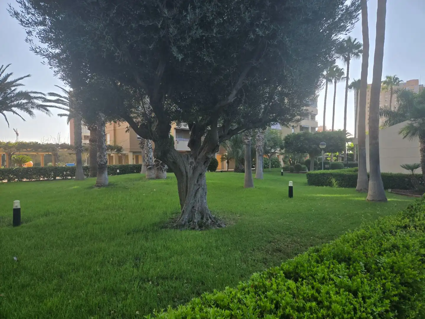 Garden of Flat for sale in Playa Muchavista
