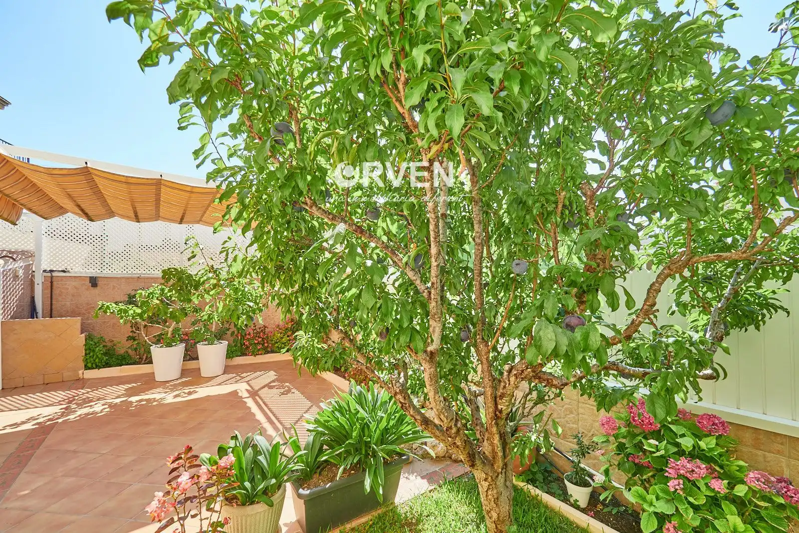 Jardí de Casa o xalet en venda en Creixell amb Aire condicionat, Calefacció i Terrassa