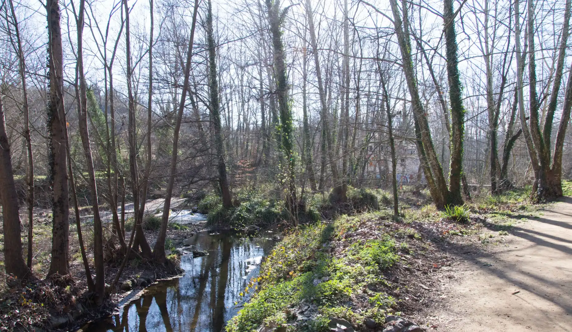Vista exterior de Casa o chalet en venta en Olot con Terraza
