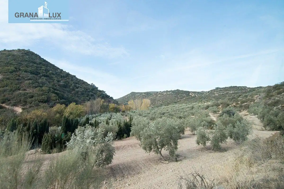 Country homes for sale in Loja