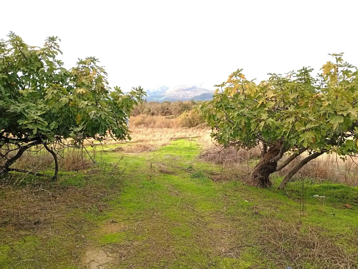 Terreni e lotti in vendita a Villanueva de la Vera, imagen 37