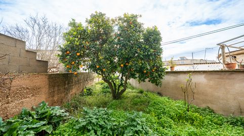 Foto 4 de Casa o xalet en venda a Montuïri - Cl Sa Torre, Montuïri, Illes Balears