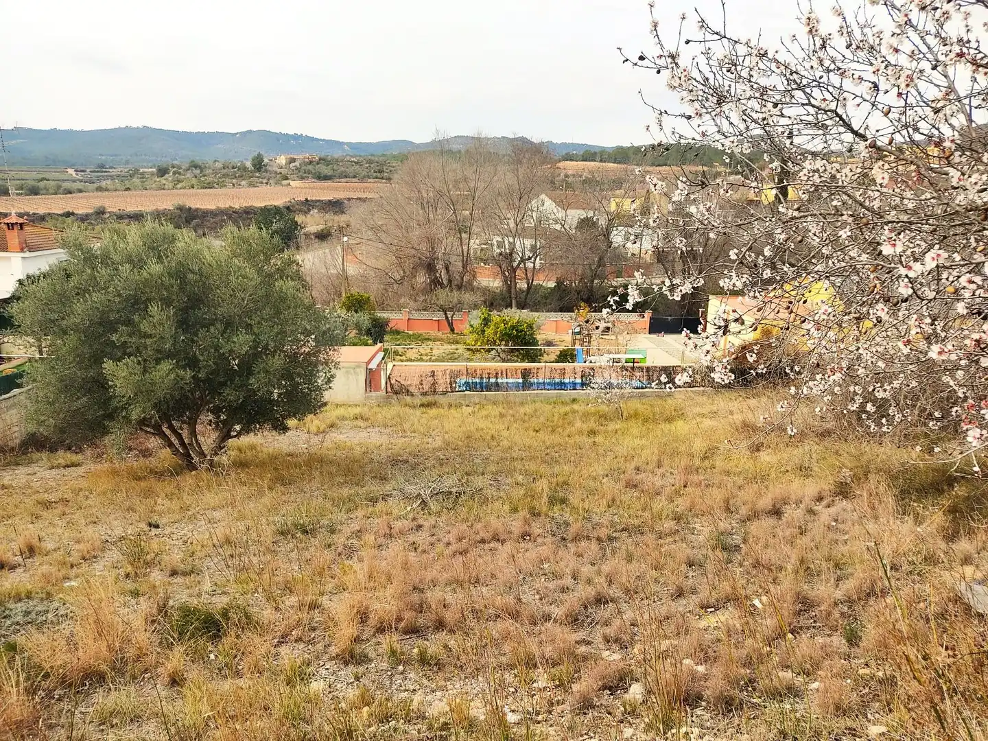 Terrenys i solars en venda a La Bisbal del Penedès, imagen 5