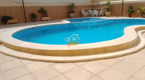 Photo 5 of Apartments for rent in Zona los Frutales, Torrevieja