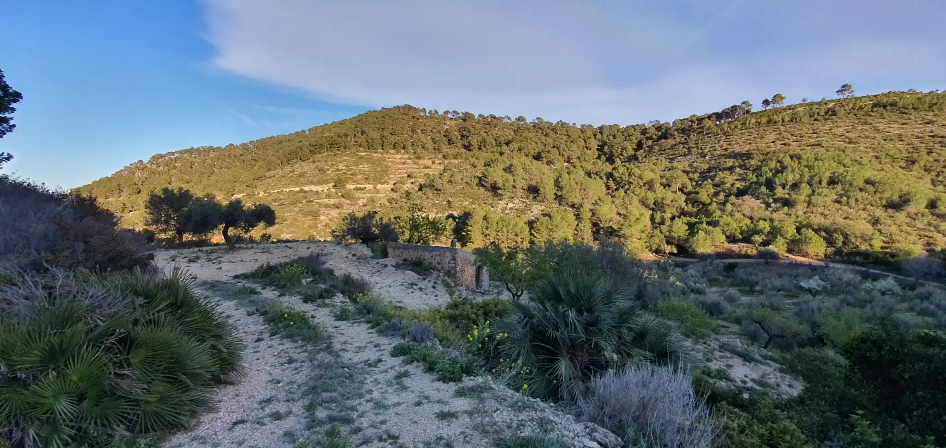 Casa o chalet en venta en Rasquera