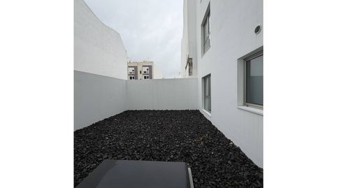 Foto 3 de Piso de alquiler en Calle Secretario Padilla, 190, Guanarteme, Las Palmas de Gran Canaria