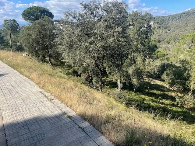 Terreno residencial en venta en Mas Mora - Sant Daniel, imagen 3