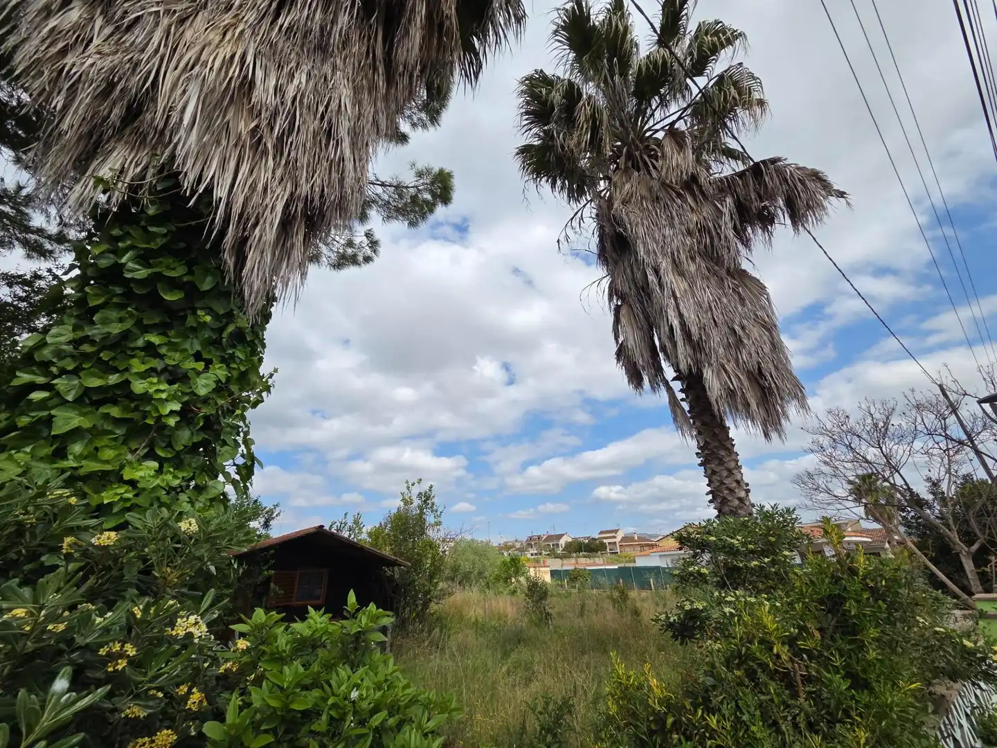 Casa o chalet en venta en Albinyana con Jardín privado y Terraza