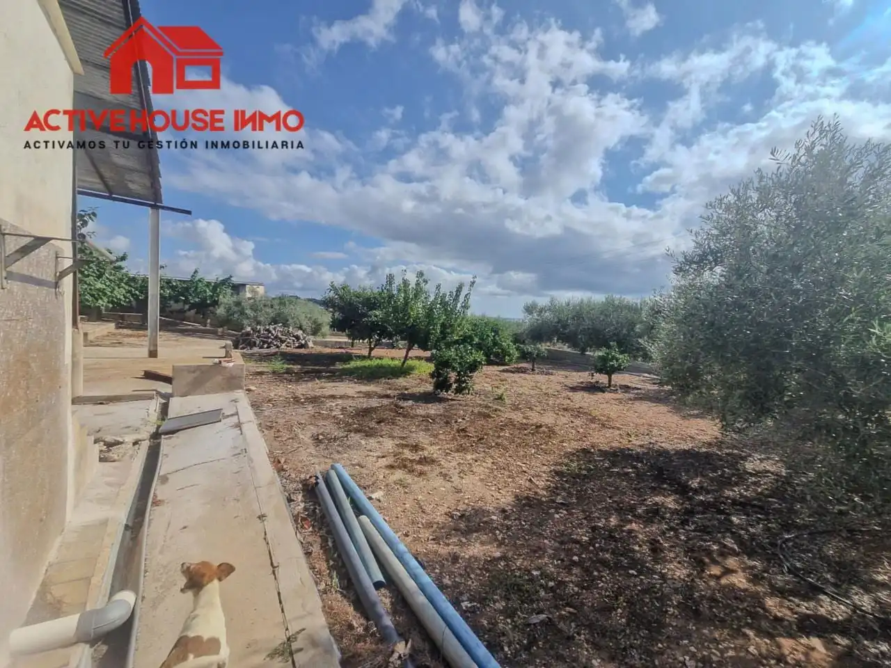Country house for sale in Calle Partida Codonyol, imagen 28