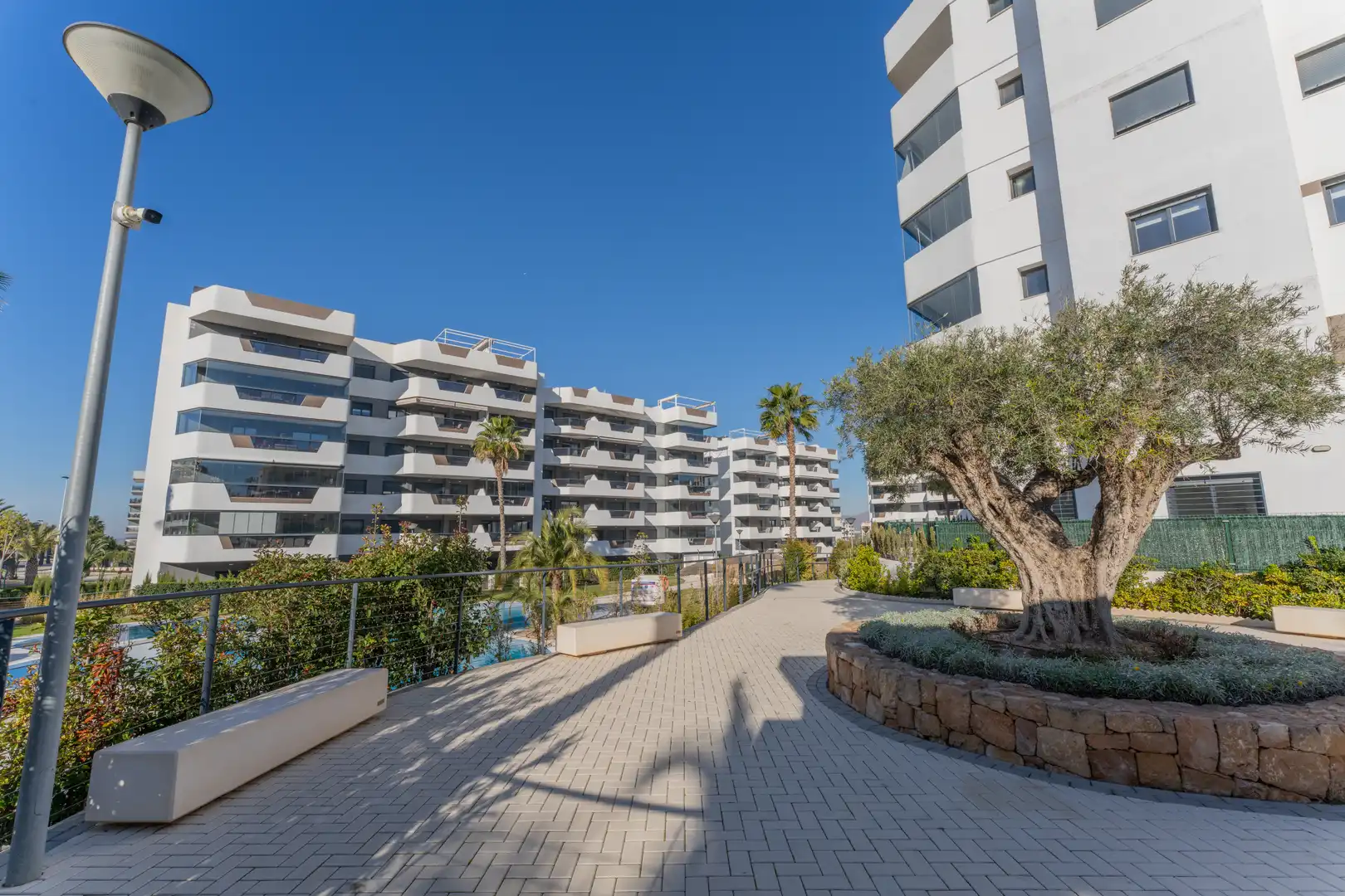 Vista exterior de Apartamento en venta en Elche / Elx con Calefacción, Terraza y Piscina
