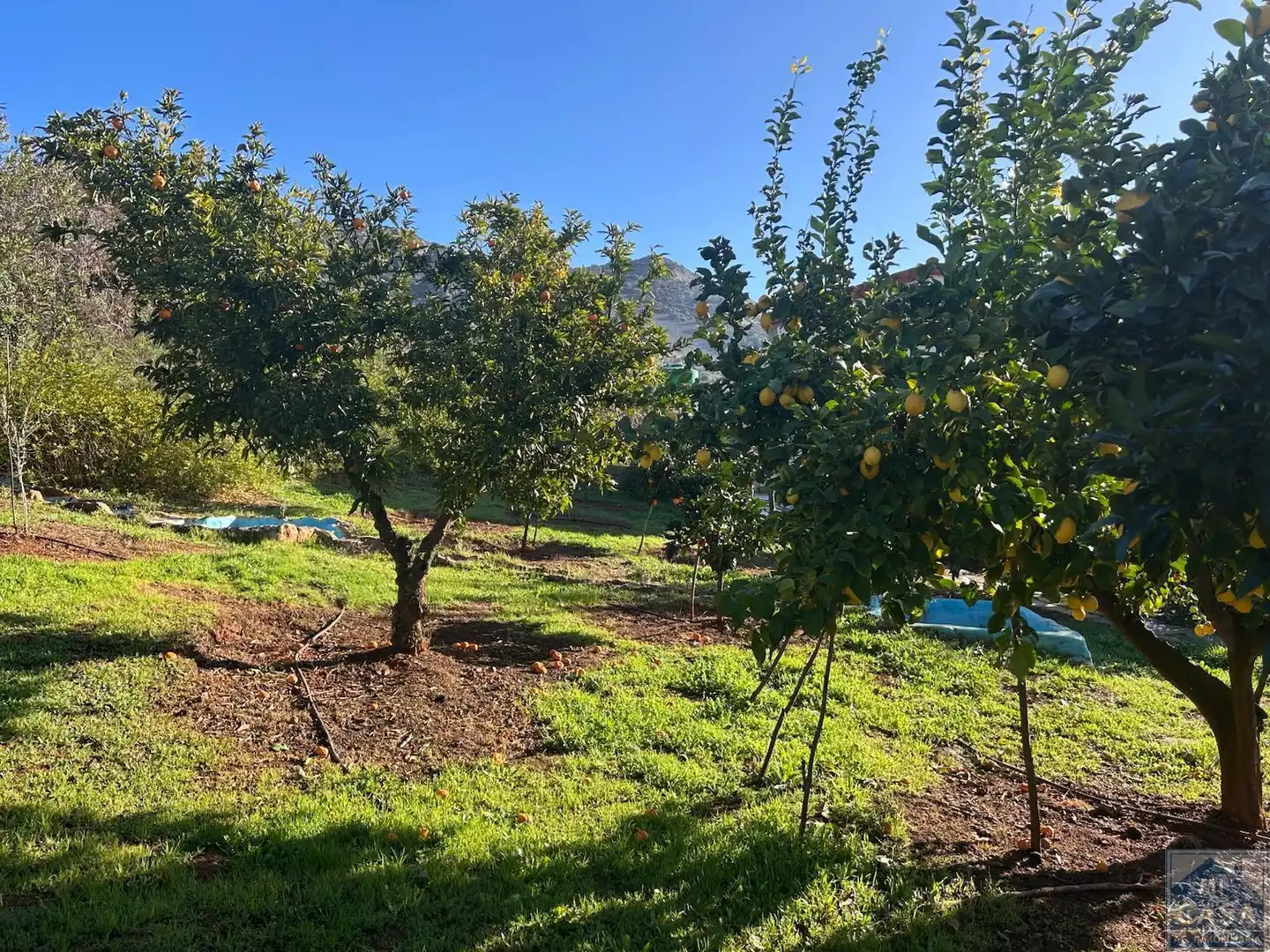 Casa o chalet en venta en Alange con Aire acondicionado, Calefacción y Terraza