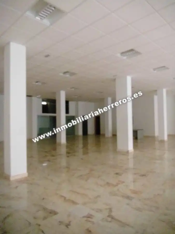Business premises for sale in PINTOR ROSALES, imagen 5