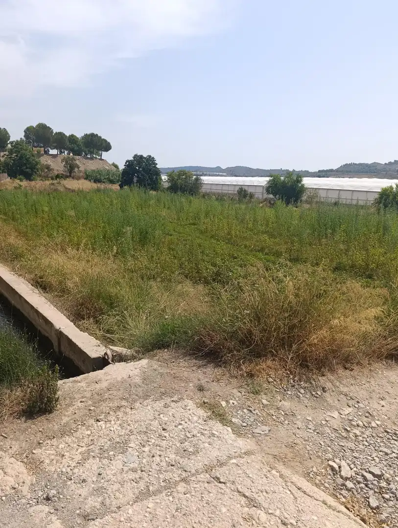 Rural land for sale in Cehegín