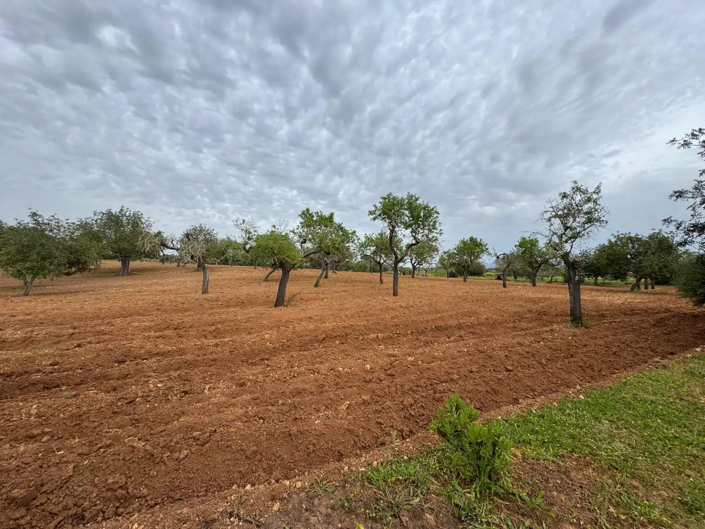Rustikales Grundstück zum Verkauf in Camino Camí Vell de Porreres 2, imagen 28