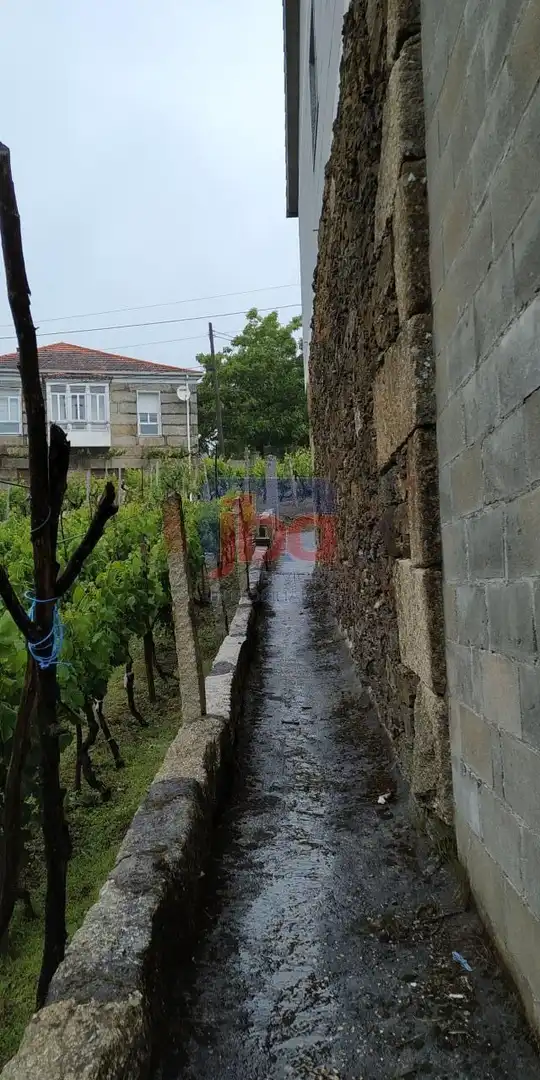 Vista exterior de Casa o chalet en venta en Castrelo de Miño con Calefacción y Amueblado