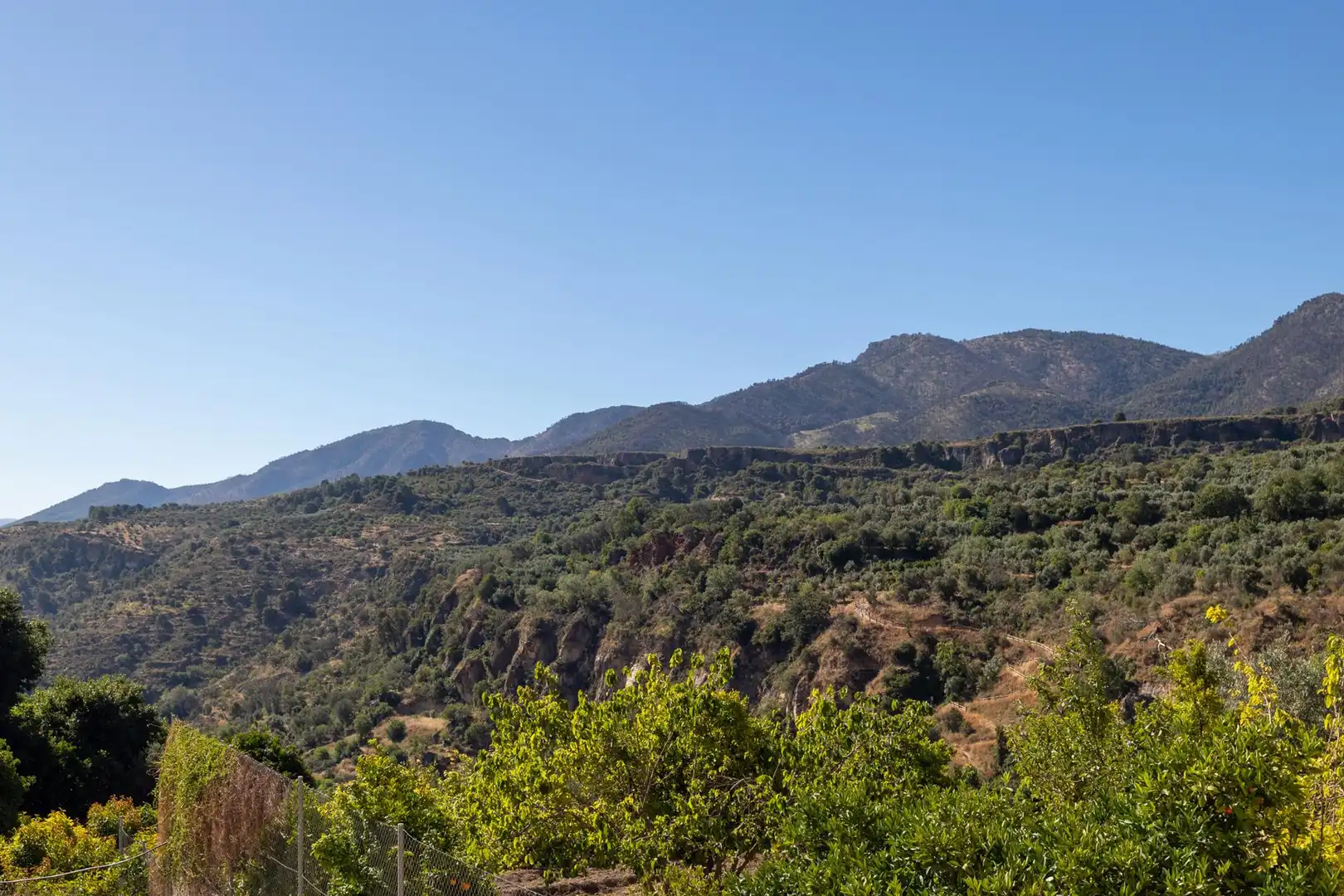 Finca rústica en venta en Albuñuelas