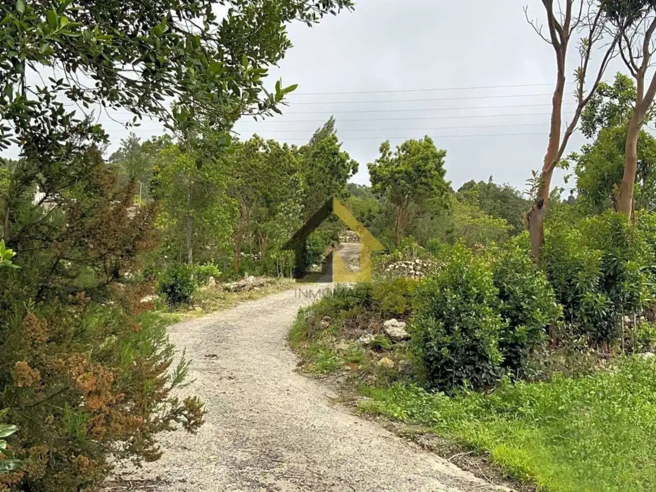 Terreno en venta en Calle La Florida, Santa Bárbara - La Florida
