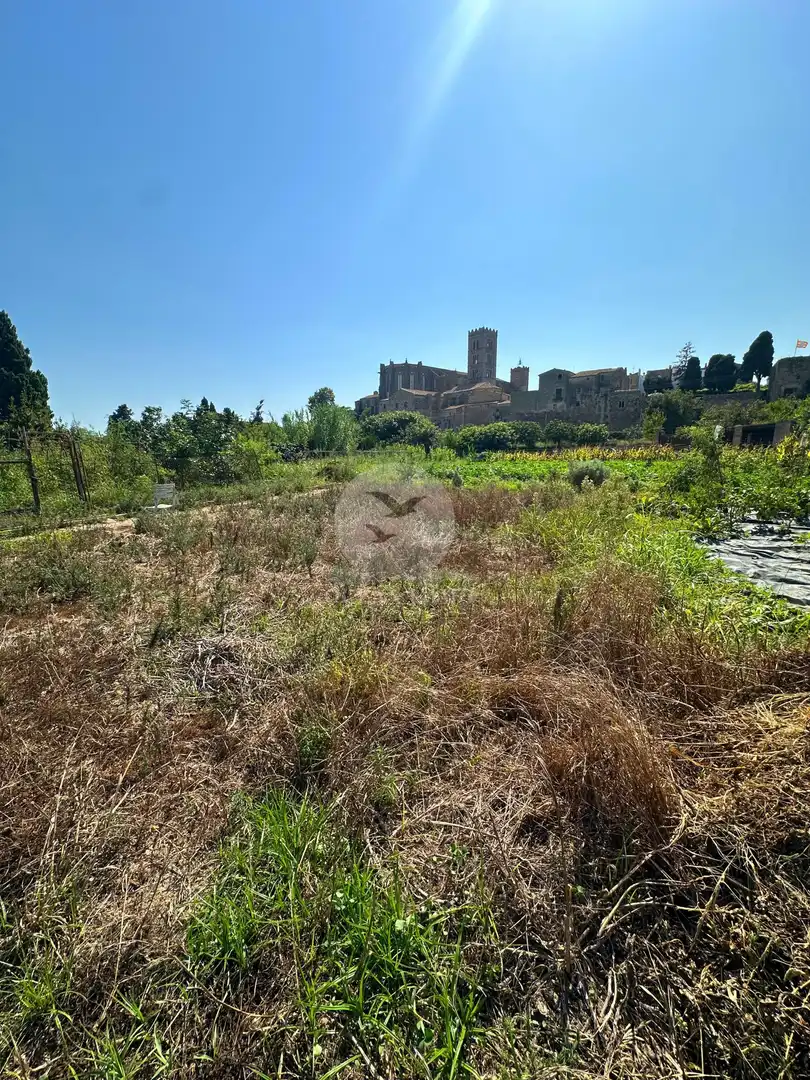 Terreno rustico in vendita a Castelló d'Empúries, imagen 3