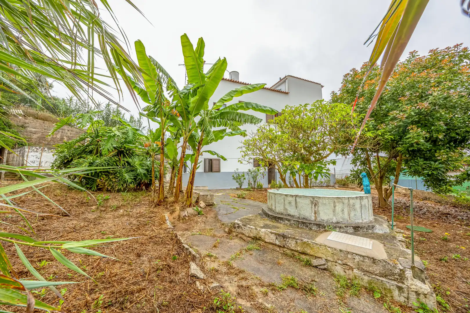 Casa o chalet en venta en Calle Sinesio Yánez Travieso, 41, El Palmar