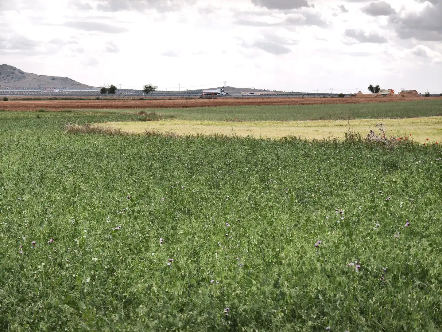 Rural land for sale in Polígono POLIGONO, imagen 25