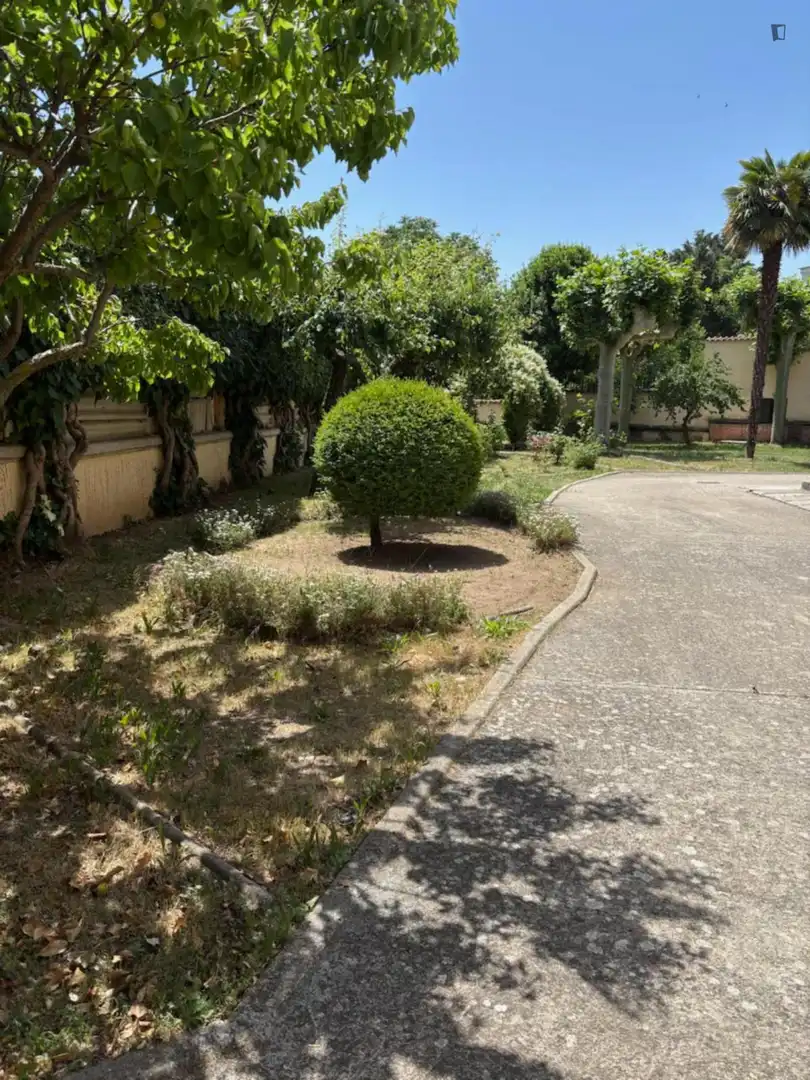 Room in Capuchinos - Glorieta - Ciudad Jardín