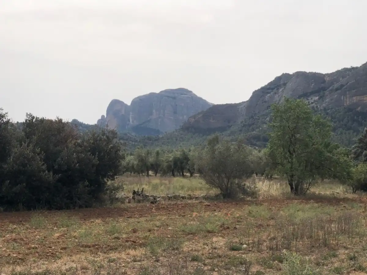 Rural land for sale in Horta de Sant Joan, imagen 12