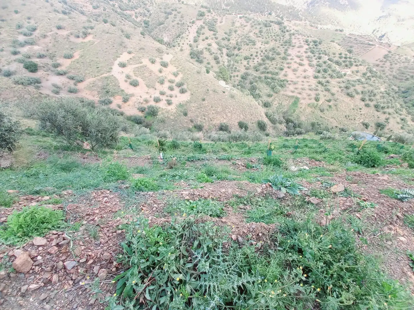 Terrenys i solars en venda a Canillas de Aceituno, imagen 19
