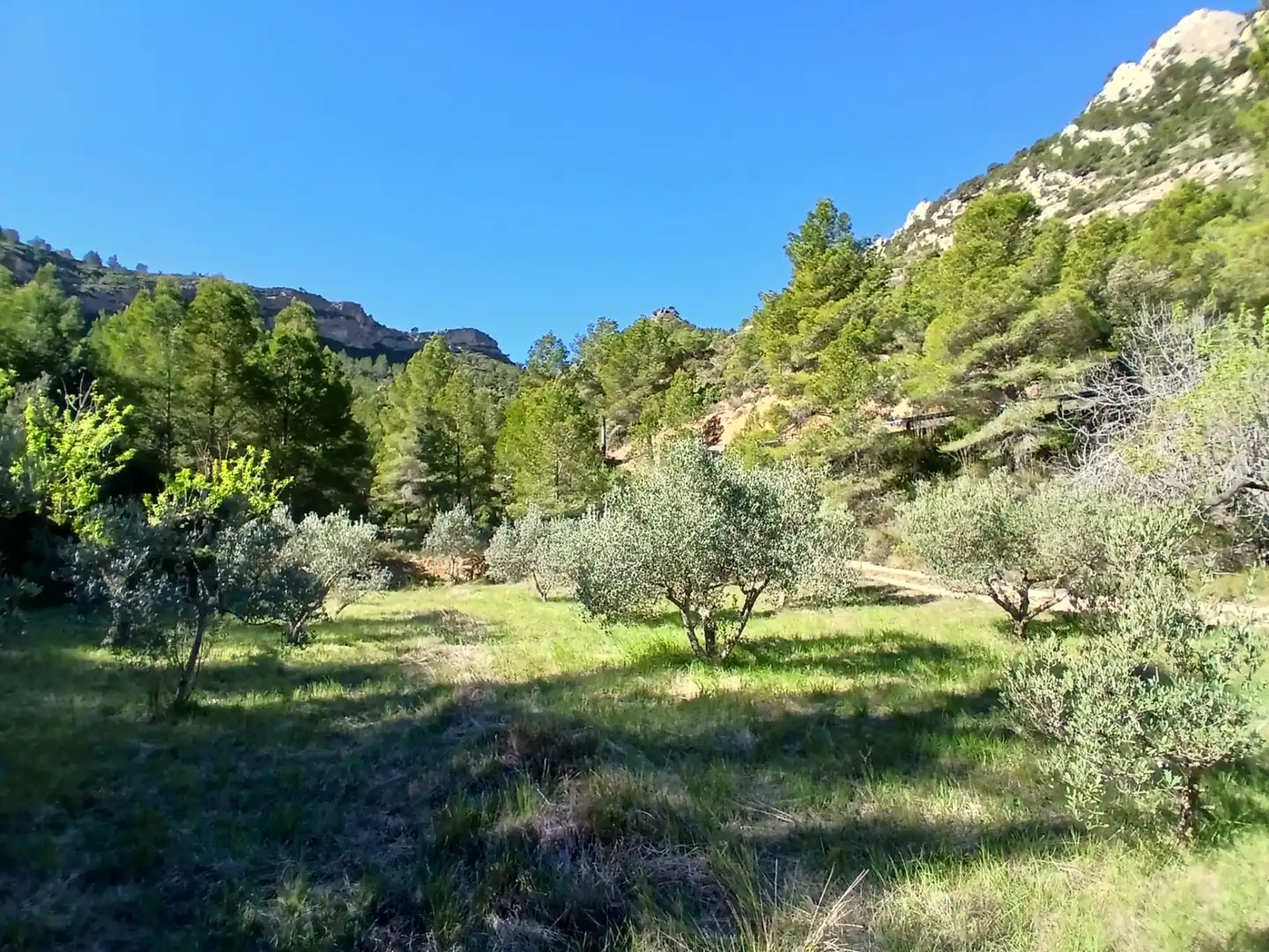 Land for sale in Prat de Comte