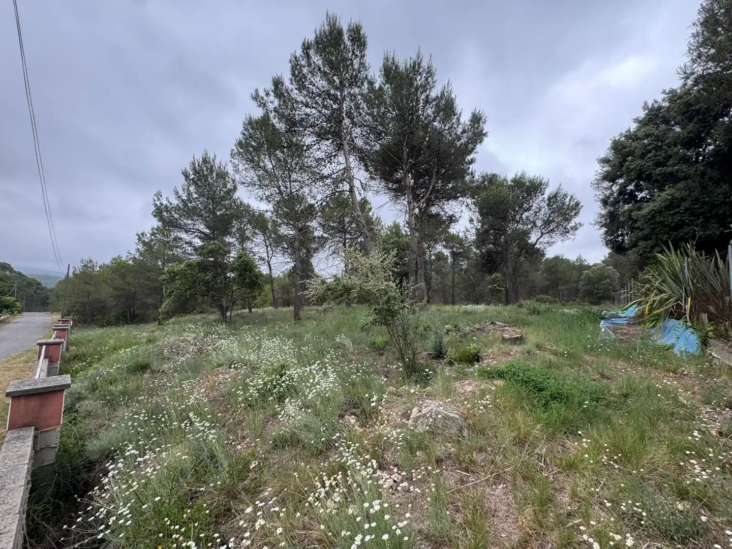 Terreno residenziale in vendita a Avinguda del Bosc, imagen 11