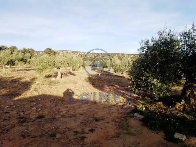 Wohnbaugrundstück zum Verkauf in La Granjuela