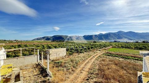 Foto 5 de Finca rústica en venda a Benifairó de la Valldigna, Valencia