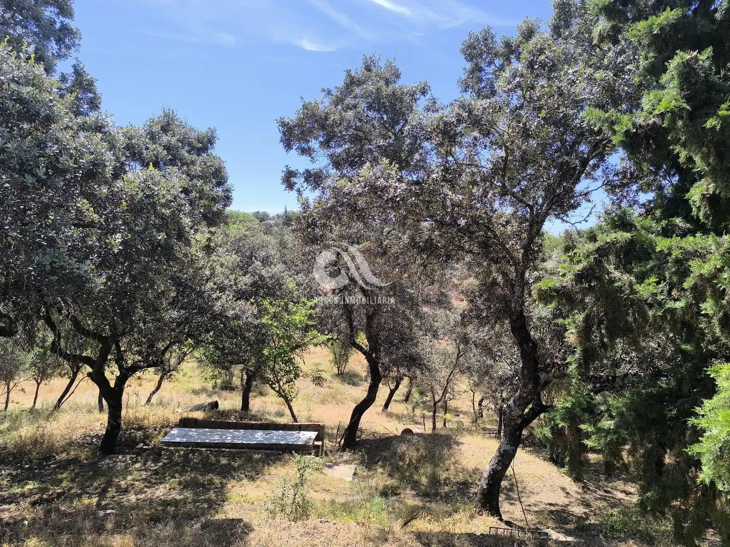 Casa o chalet en venta en Córdoba