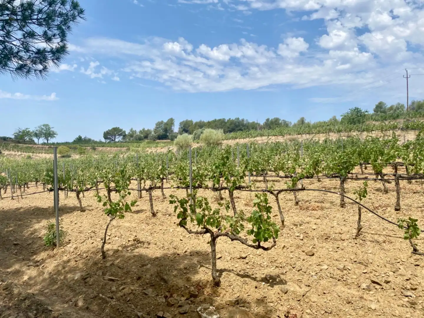 Commercial properties for sale in El Molar (Tarragona)  with Air Conditioner