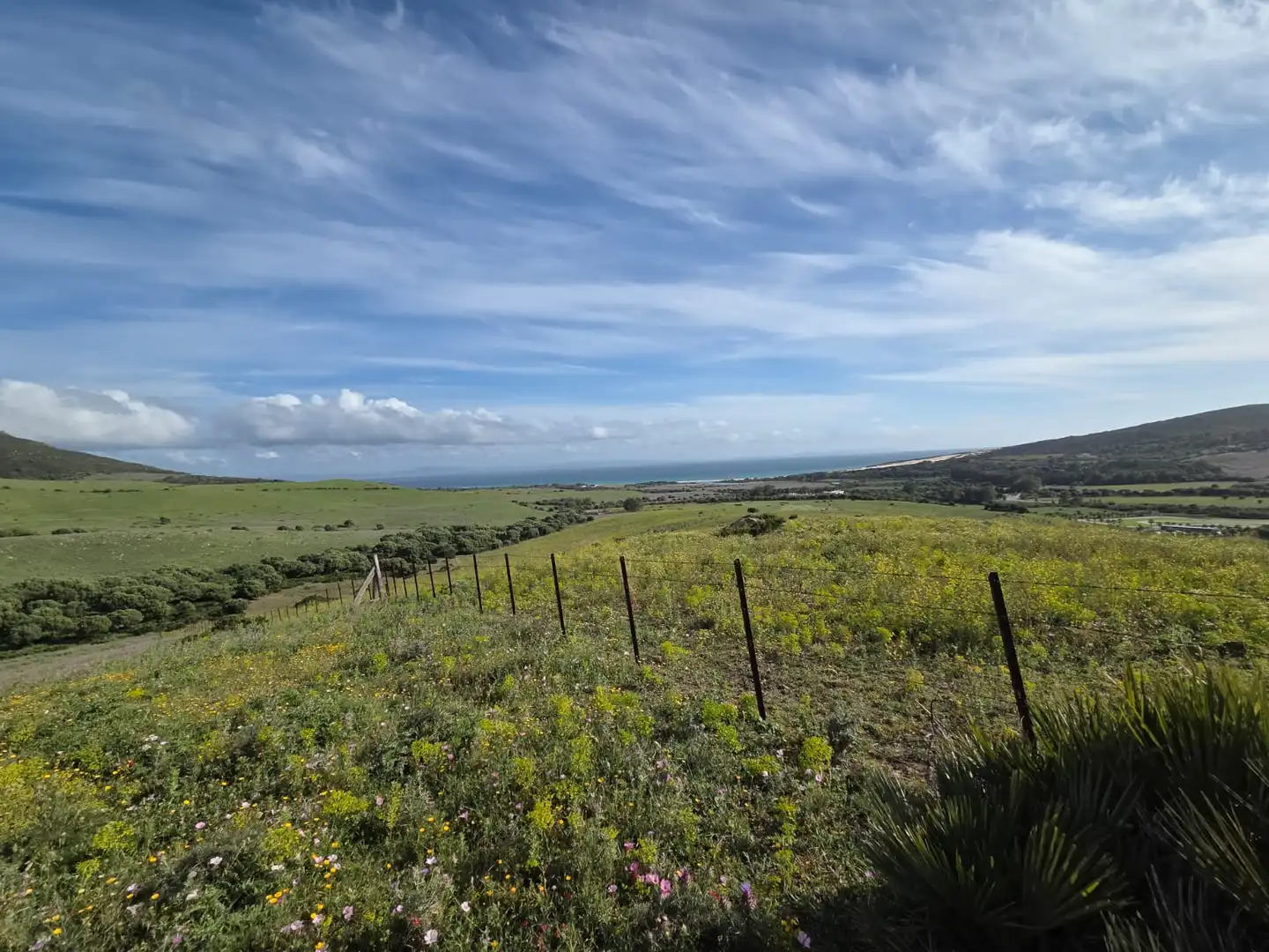 Terreno en venta en Tarifa