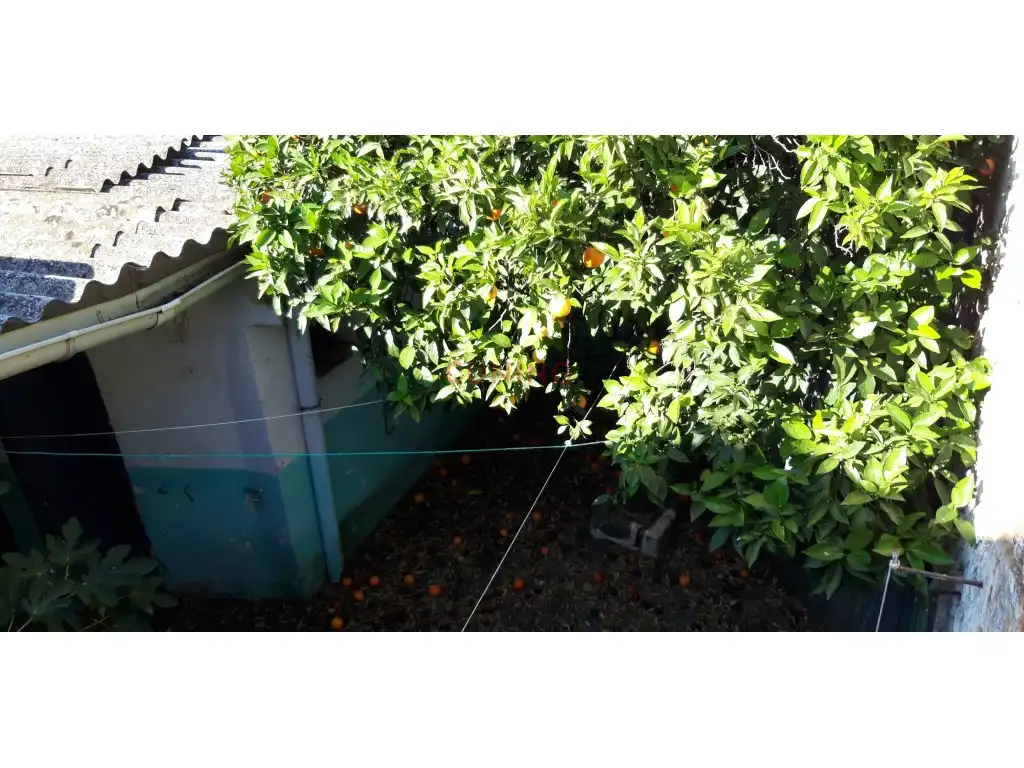 Jardí de Pis en venda en Arroyomolinos (Cáceres)