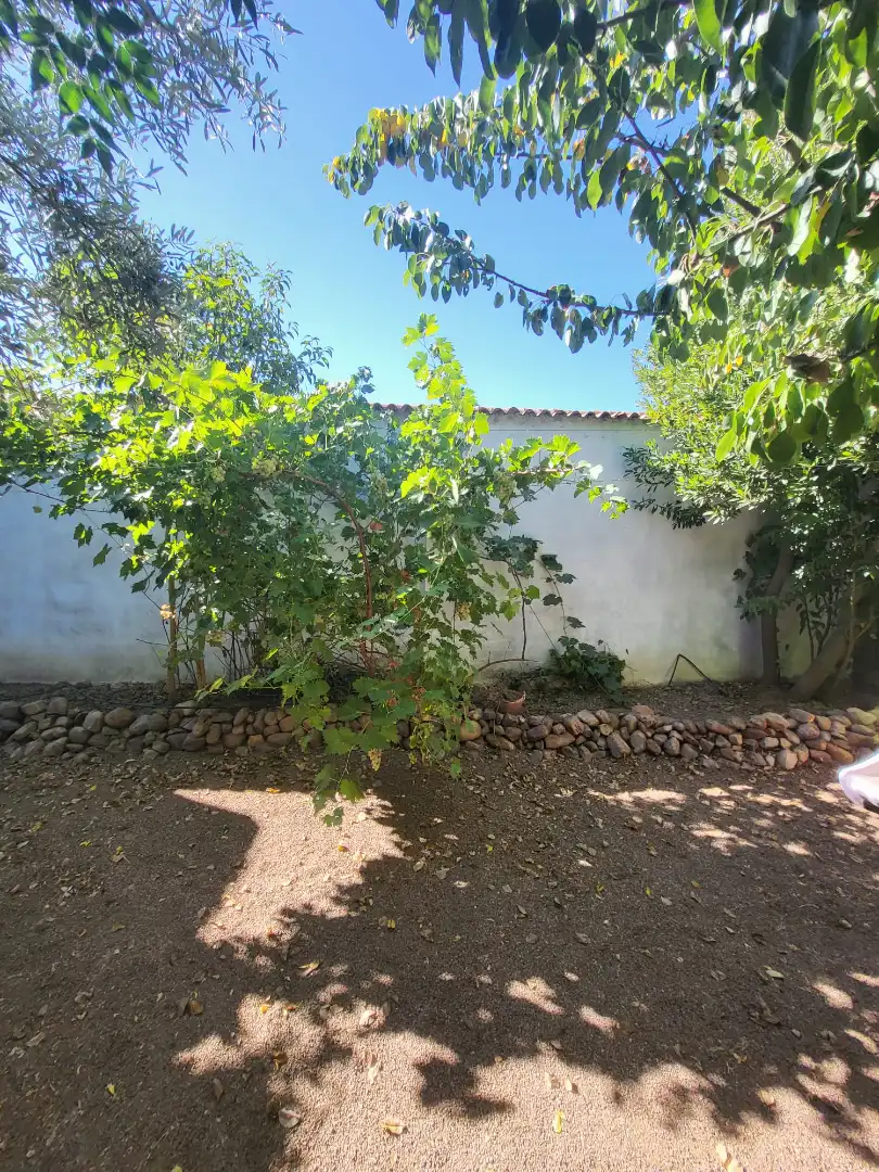 Jardín de Casa o chalet en venta en Los Pozuelos de Calatrava   con Aire acondicionado, Calefacción y Jardín privado
